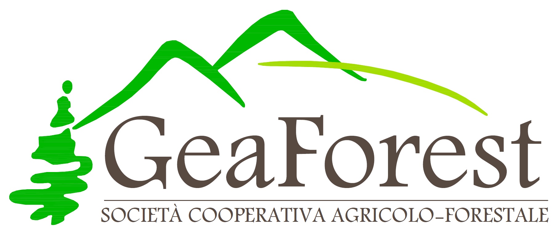 GEAFORES SOC. COOP. AGR.-FOR.